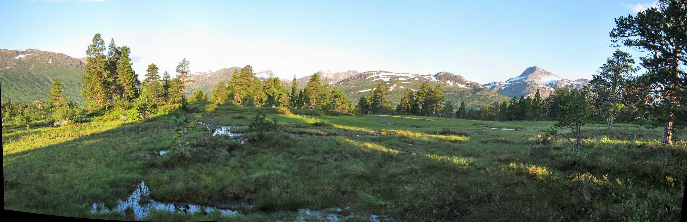 Myrlende
